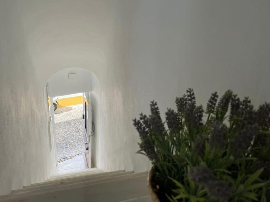 エヴォラCasa Da Oliveiraアパートメント エクステリア 写真